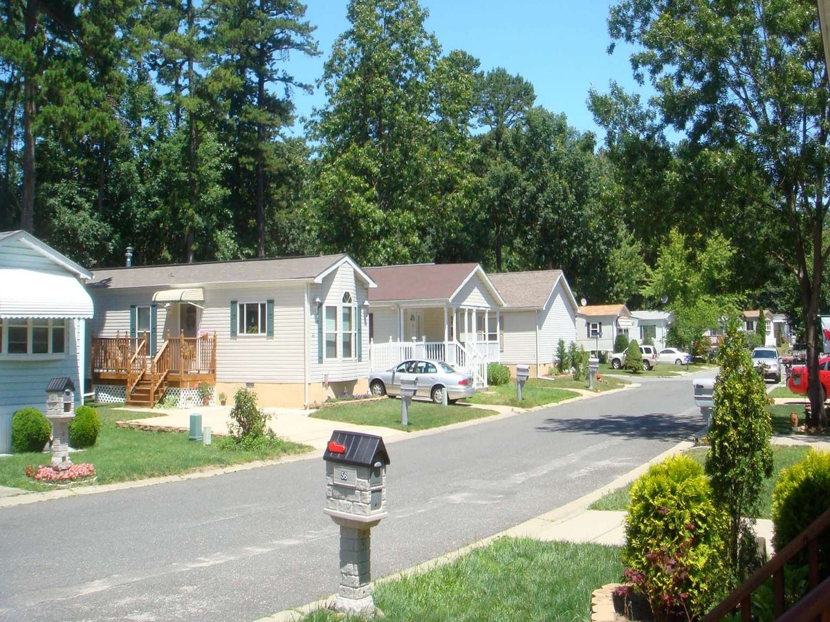 Quiet residential street in a Jackson Township, NJ active adult community, with well-kept homes, manicured lawns, and tall trees lining the neighborhood