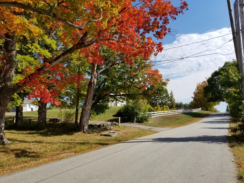 A paved country road lined with vibrant fall foliage and trees with red and orange leaves in Upper Freehold Township.